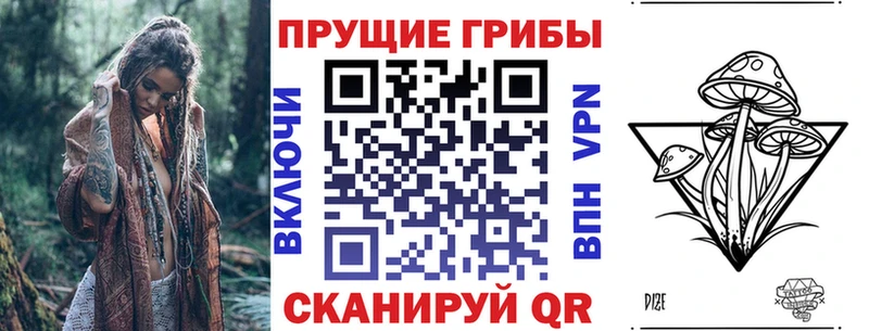 Псилоцибиновые грибы Cubensis  mega tor  Володарск 
